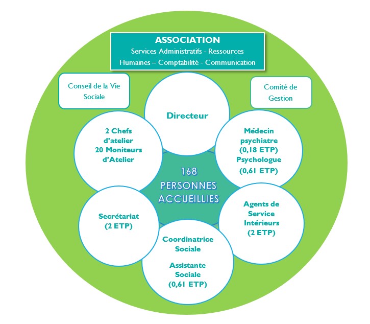 Organigramme Solidarité